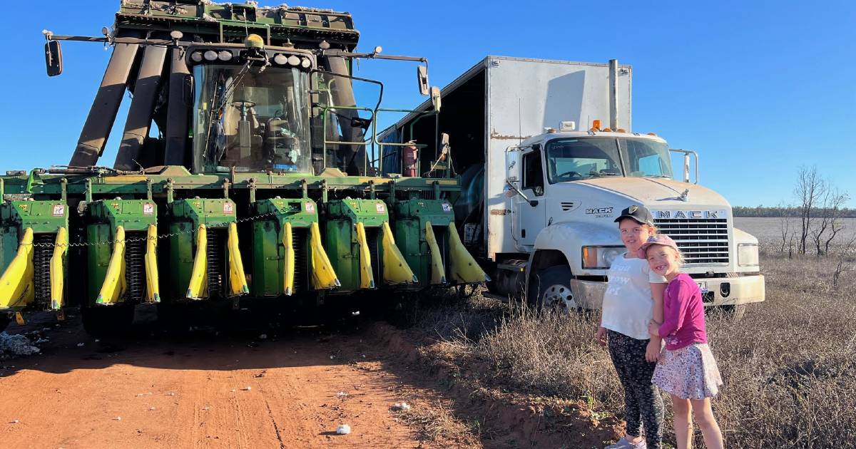 Mount Garnet cattle producer diversifies into first year cotton grower