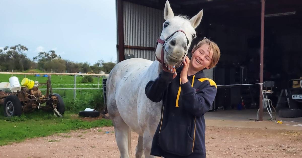 Leeton family return home after car and horse float stolen in Canowindra | The Land