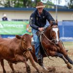 Droughtmaster weaner steers sell for $1755 at Woodford | Queensland Country Life