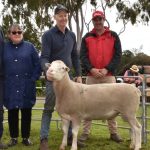 Ida Vale White Suffolk peaks at $5100 at Tamesha Gardner and Andrew Greenup’s 26th annual sale at Kojonup | Farm Weekly