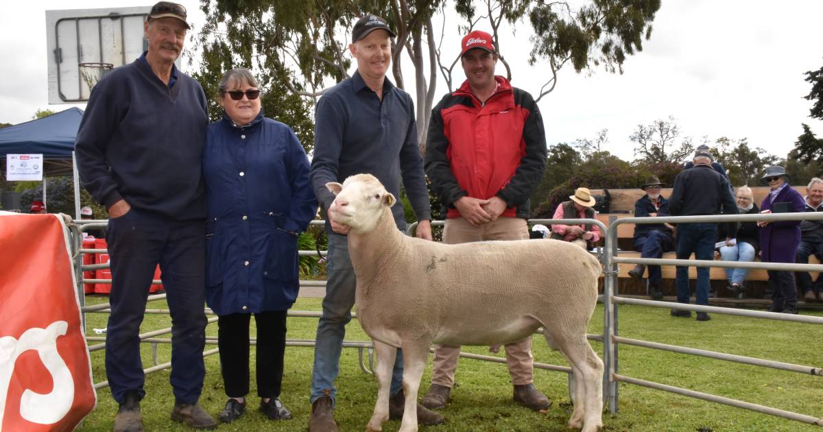 Tellarup Brook Poll Dorset sells to $2200 at on-property ram sale at Manjimup | Farm Weekly