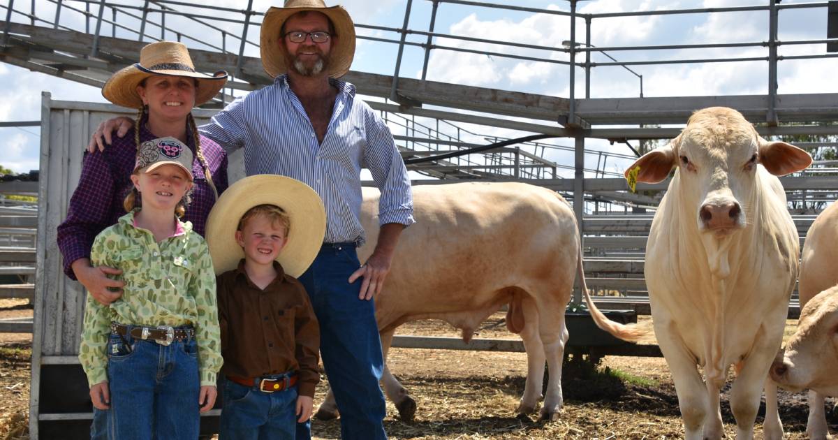 Stewart family carries on National Charbray Sale legacy