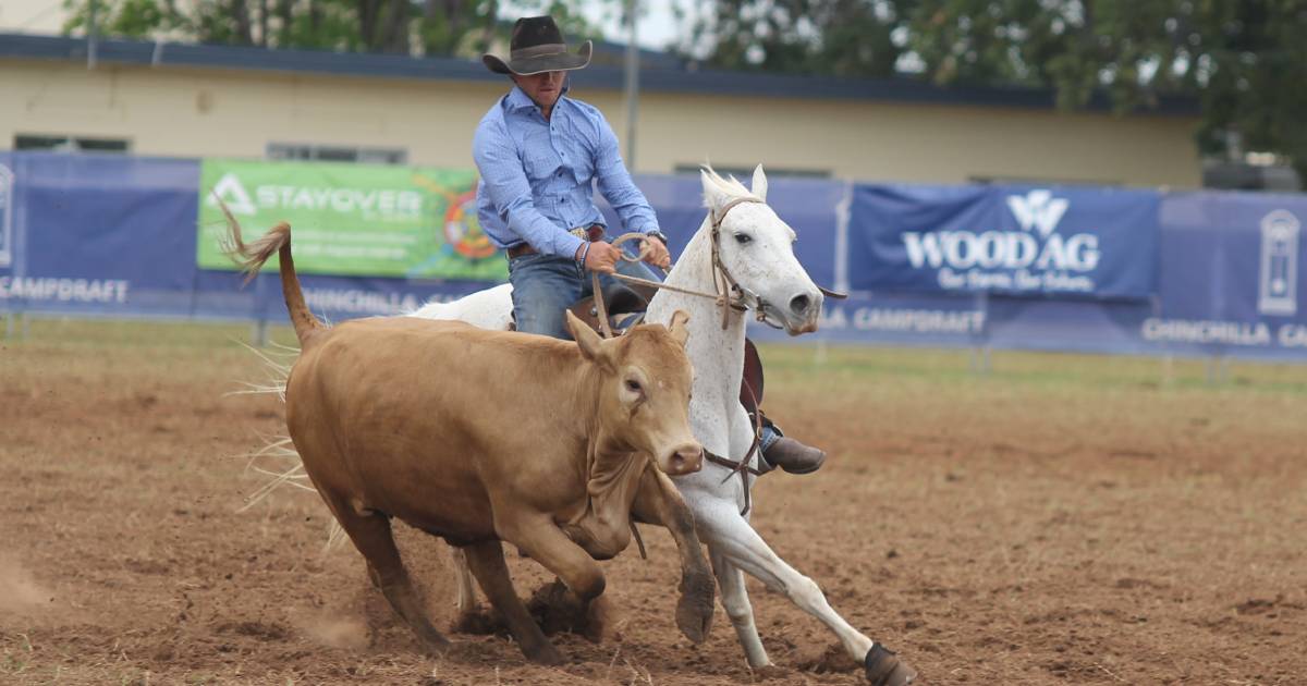 Chinchilla Grandfather Clock campdraft finals start today after wet weather delays