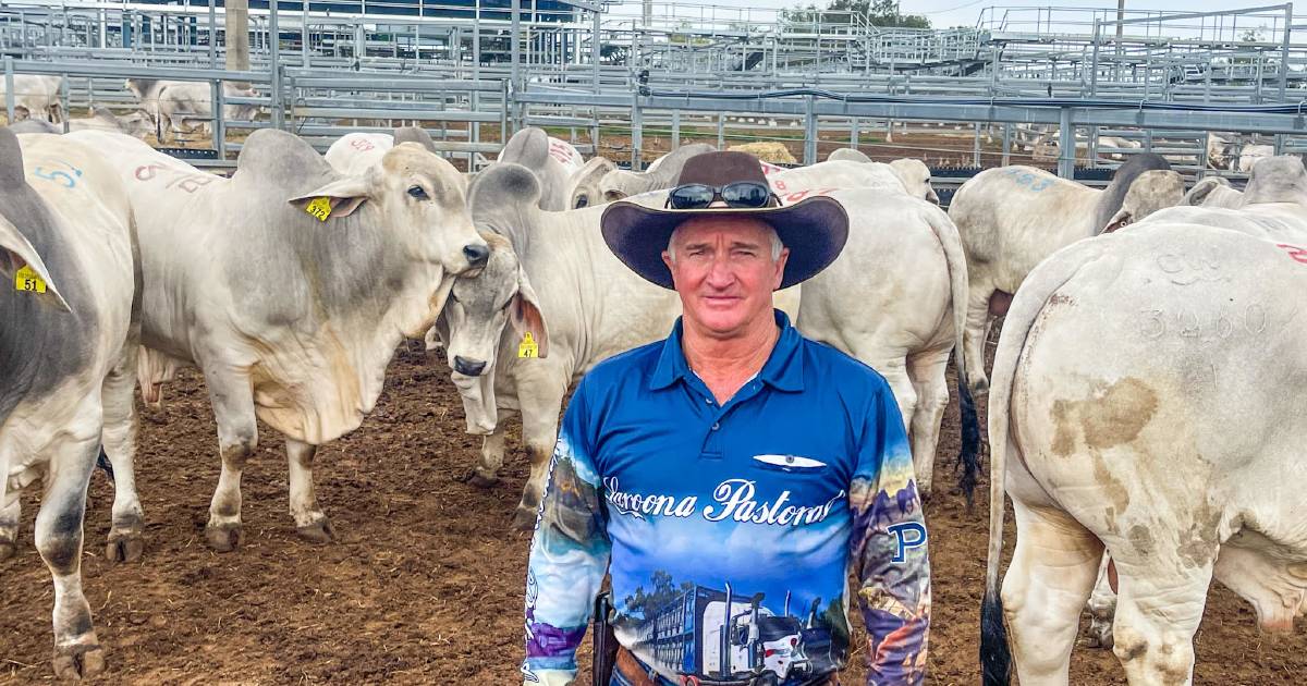 North west graziers among bulk buyers at RBWS