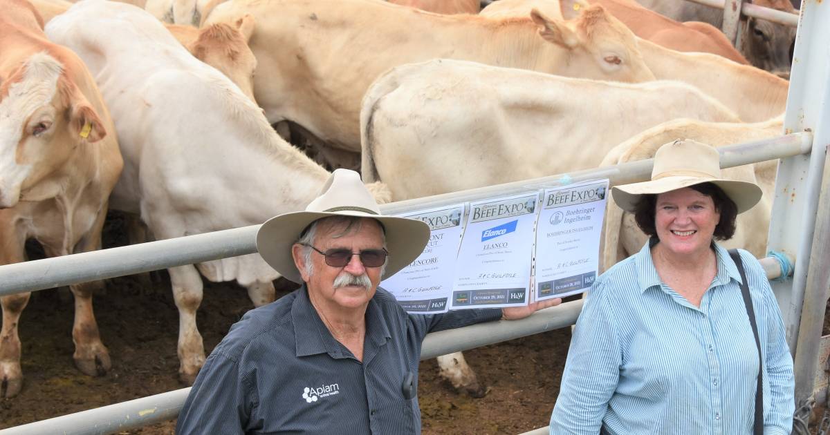 Clermont beef expo celebrates 10 years with record prices | Photos