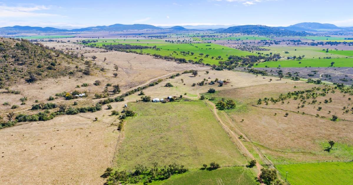 Surrey Farm sold at auction