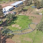 Central Queensland grazing with wind farm opportunity