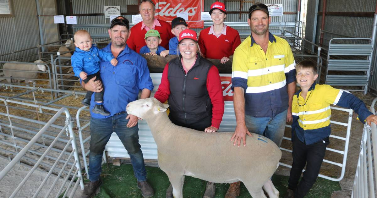 Poll Dorset sells for $1500 at Lawrence family’s on-property Canternatting ram sale at Southern Brook | Farm Weekly