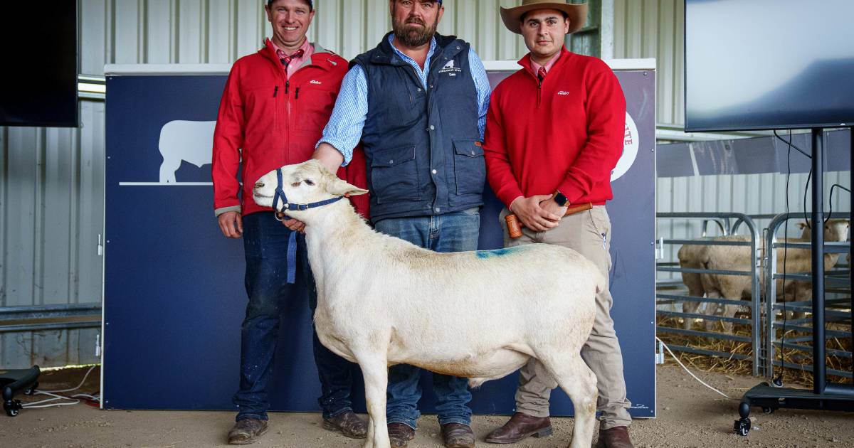 Strong lineup for Bungarley Aussie Whites