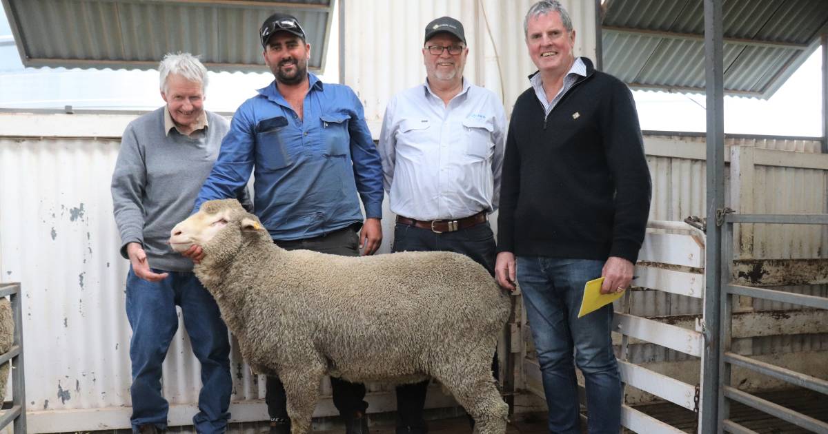 Fern Park Poll Merinos values hit $2350