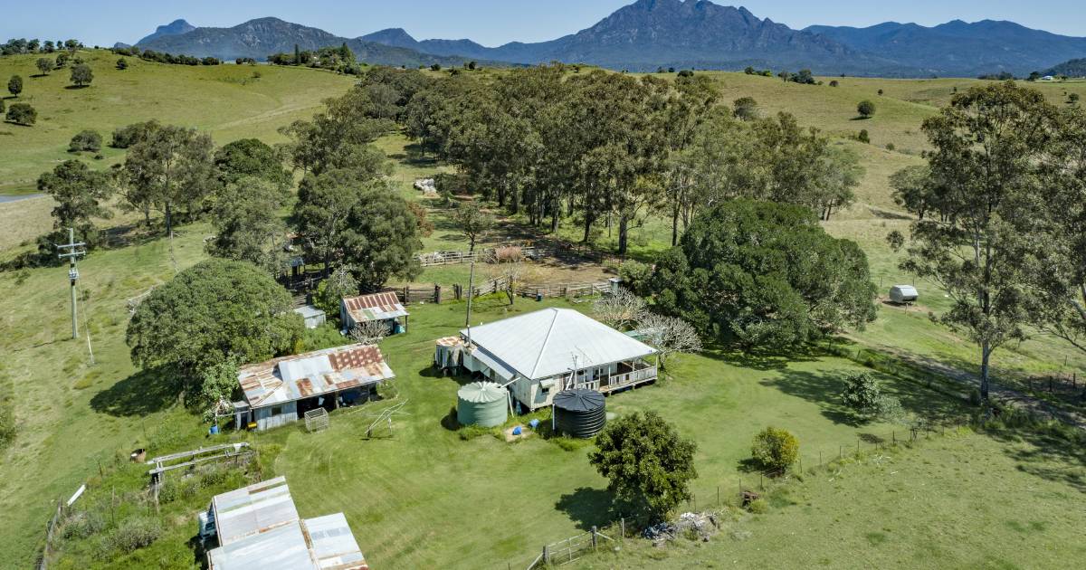 Oaklands delivers magic Scenic Rim views | Video