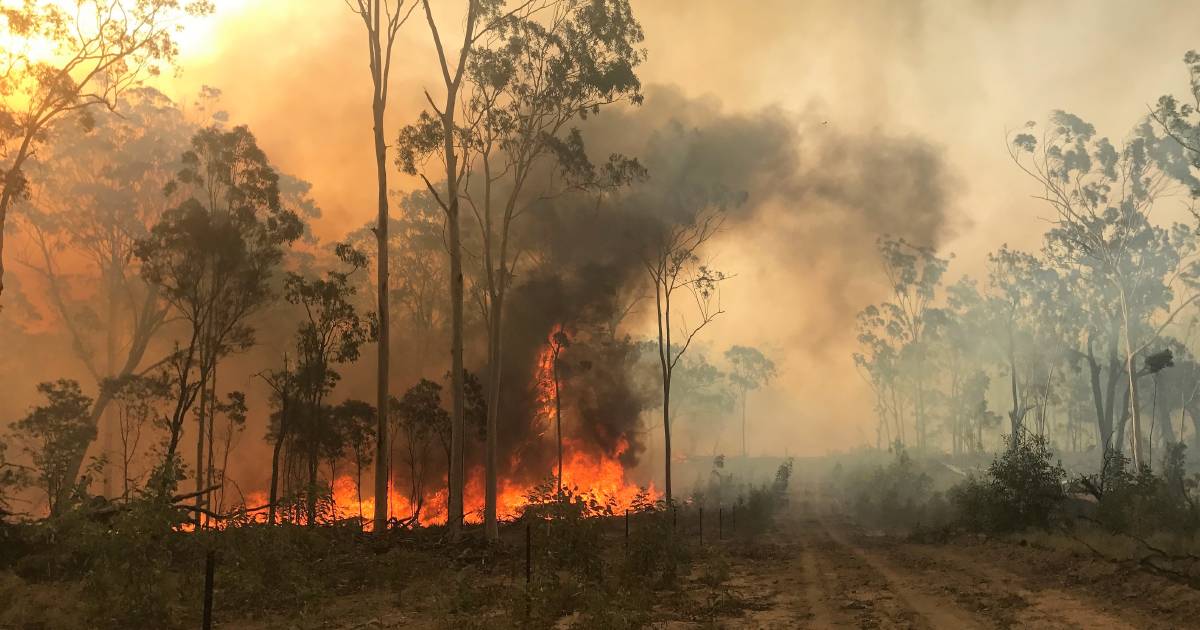 RFBAQ develops prototype mobile water unit to keep people at fire fronts | Queensland Country Life