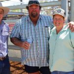 Stockdale White Suffolk ram makes $3100 at York | Farm Weekly