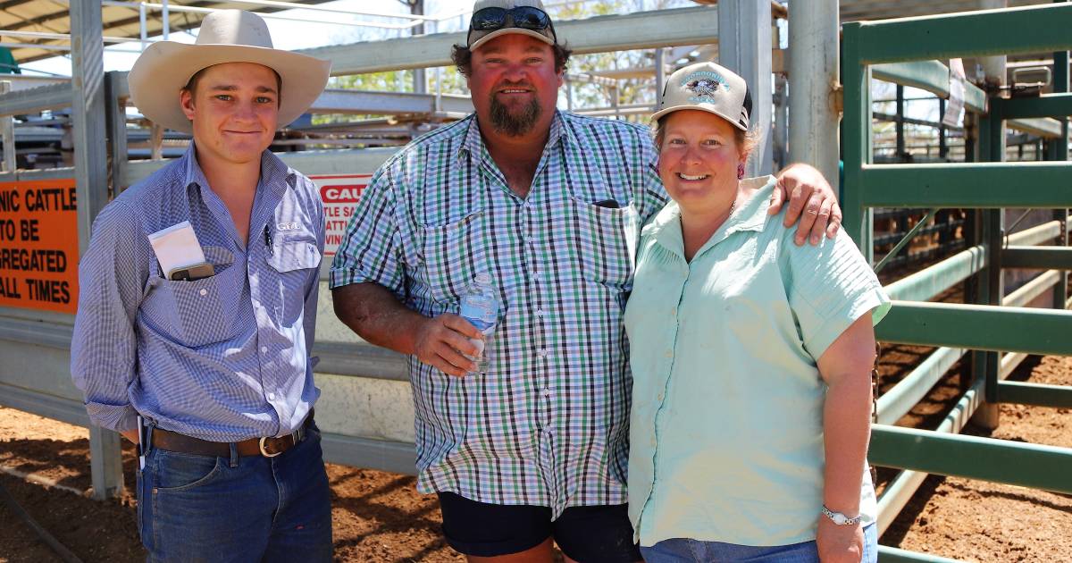 Furious bidding boosts prices 10-30 cents at Blackall weaner sale | North Queensland Register