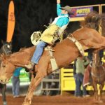 Warwick Rodeo and Gold Cup Campdraft reduced to two run limit