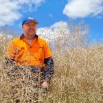 Wool yields higher in solar farm trial