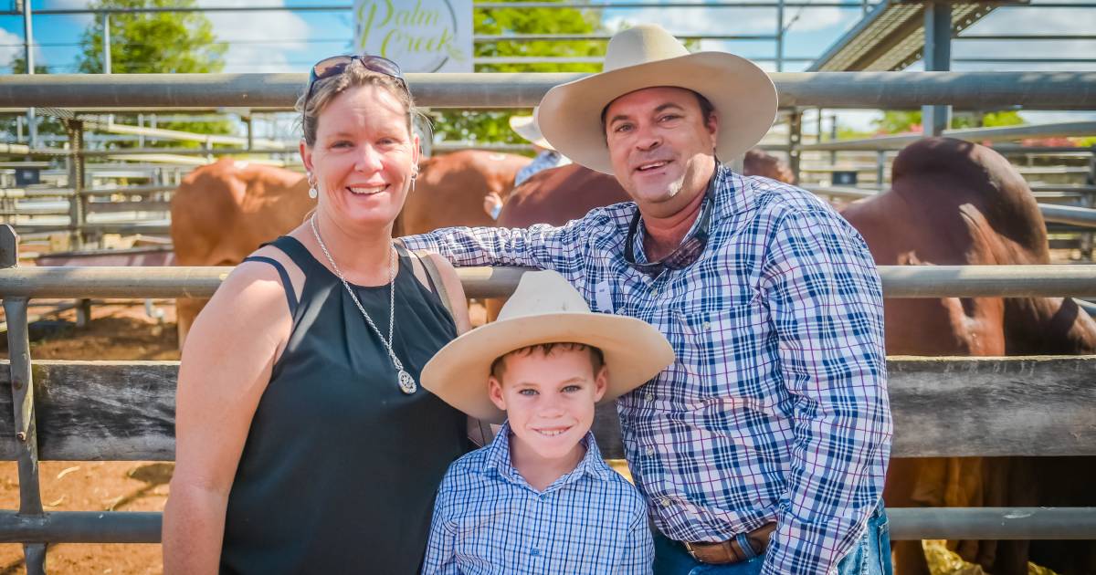 Johnson family continue tradition at Gold City Brahman sale | Queensland Country Life