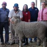 New broker and auctioneer for AWN team