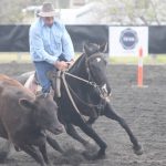 Queensland daylight savings: confusing the curtains and fading the cows | Queensland Country Life