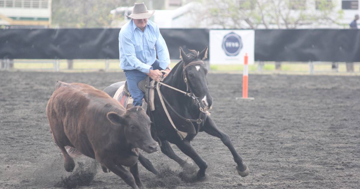 Leaders can't be split at the Condamine Bell Campdraft