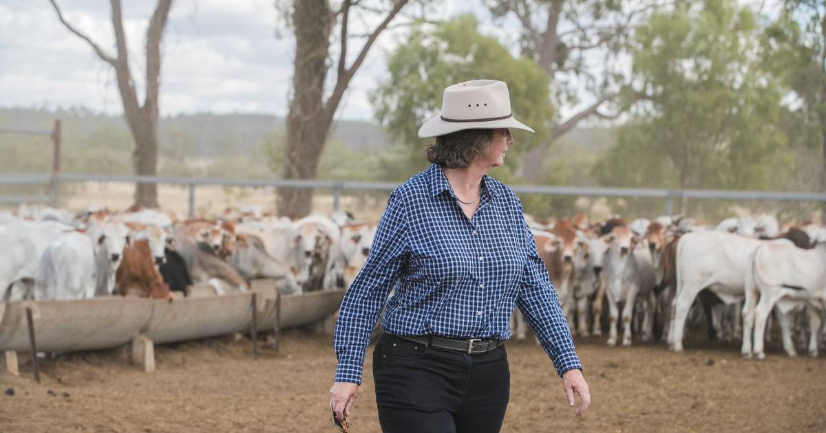 Biotechnology to reduce methane emissions from cattle in reach of all | Queensland Country Life