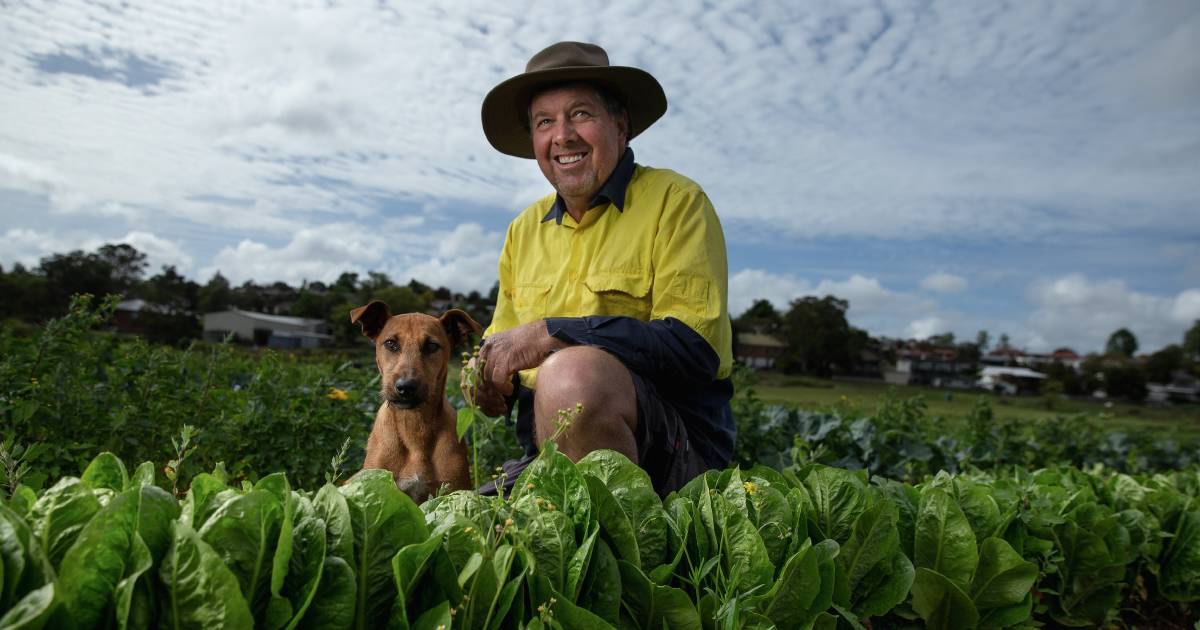 Lettuce be grateful for a win in the big wet