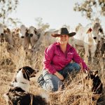 Massages and music help south coast Wagyu cattle live their best life