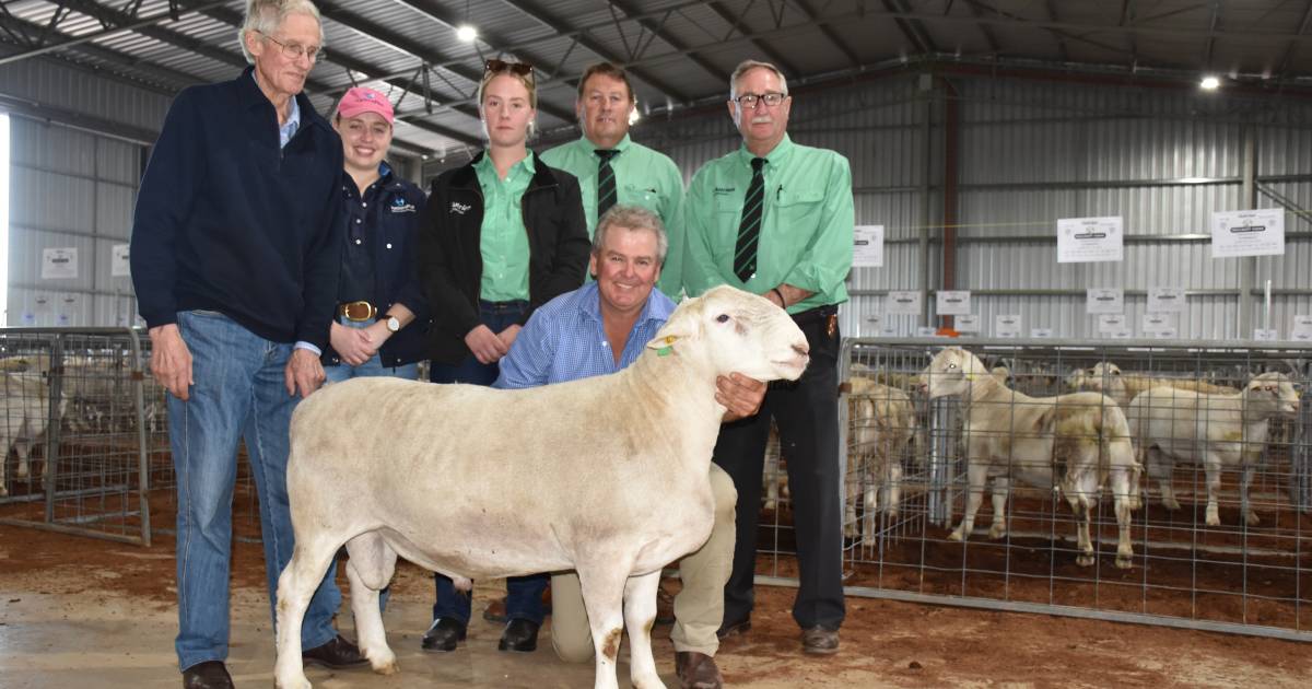 $20,500 for Hillcroft Farms UltraWhite