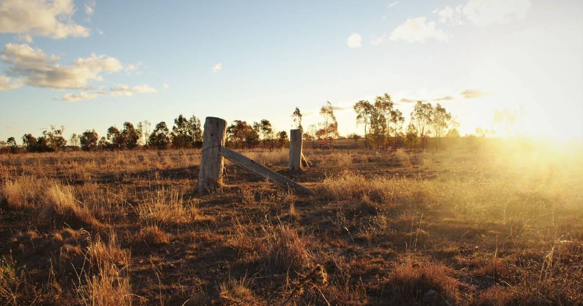 Survey from Curtin University’s Micaela Riethmuller widens mental health responses | Farm Weekly