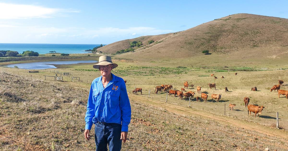 Inside the beef operation run on an island