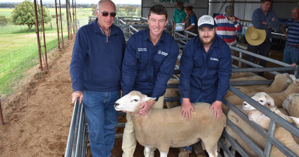 Pleasing results for Strathview Genetics