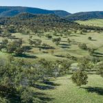 Microwave beef and lamb fat measurement tool being road-tested