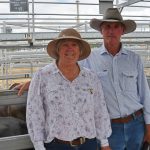 Texas Angus female sells privately for $150,000