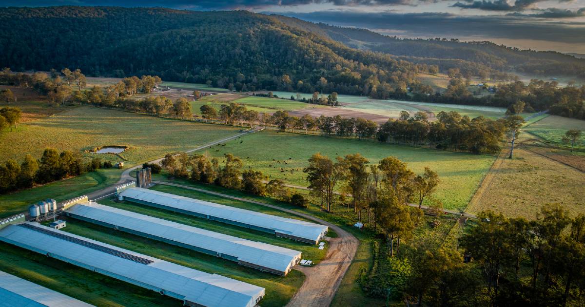 Kirchberg Poultry Farms offered walk-in, walk-out | Video