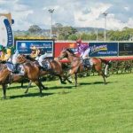 Pleasing result for Mount Willandry