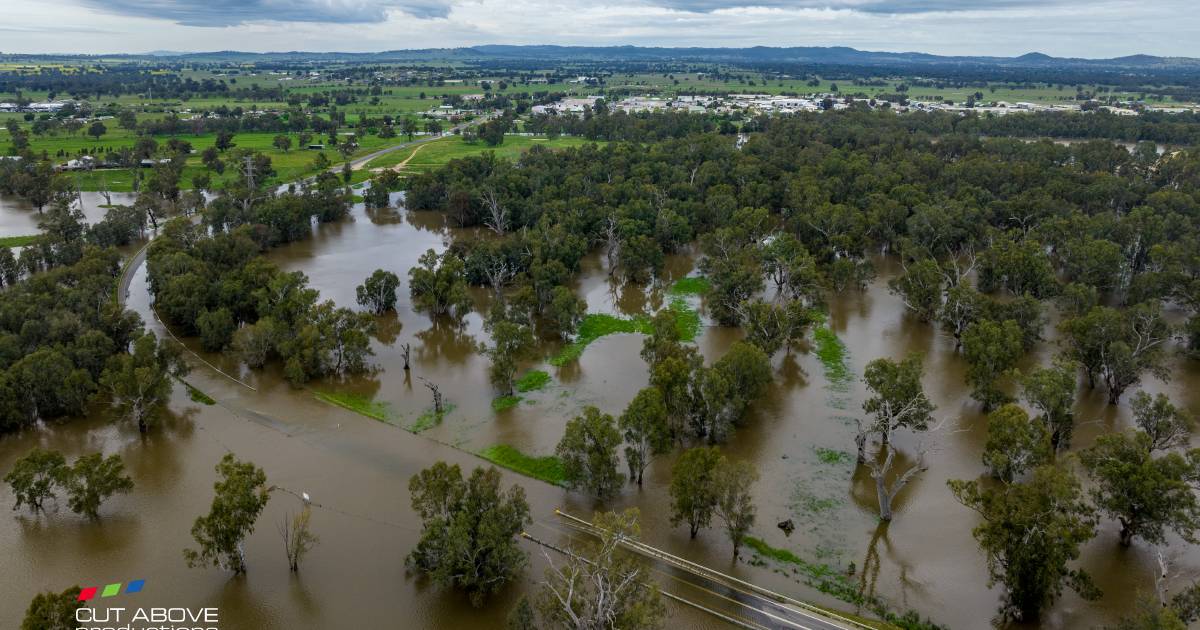 Drone footage captures Wagga floods from the sky