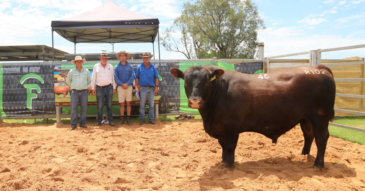 Crowbar prises out top money for Kurra-Wirra at Barcaldine