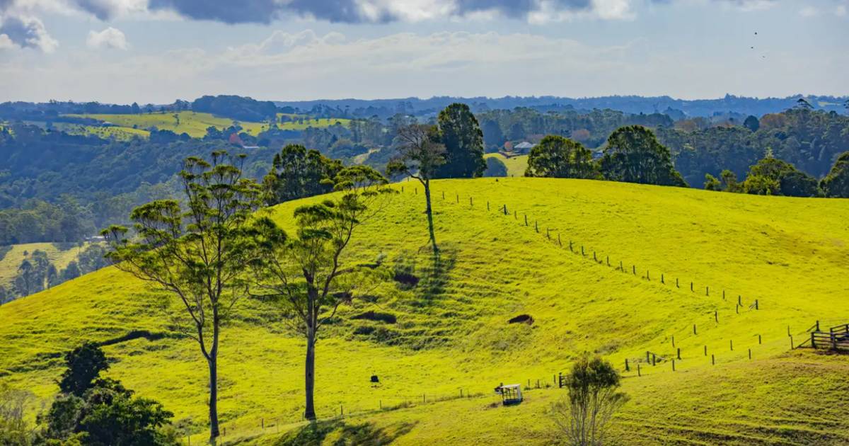 Little Hill Farm sold after auction | Video