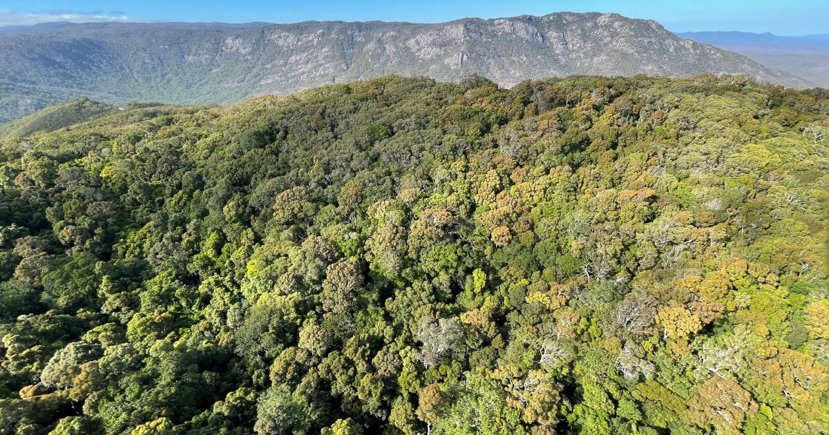 New nature refuges the size 4000 Suncorp Stadiums announced