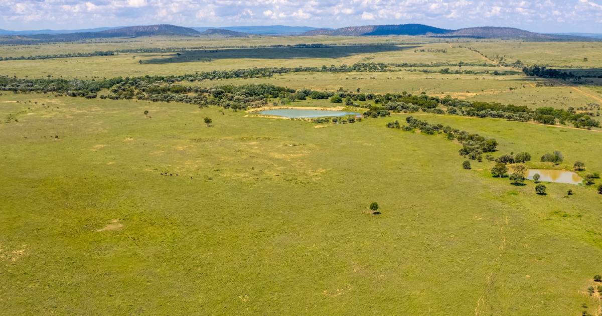 Large scale, highly productive cattle country