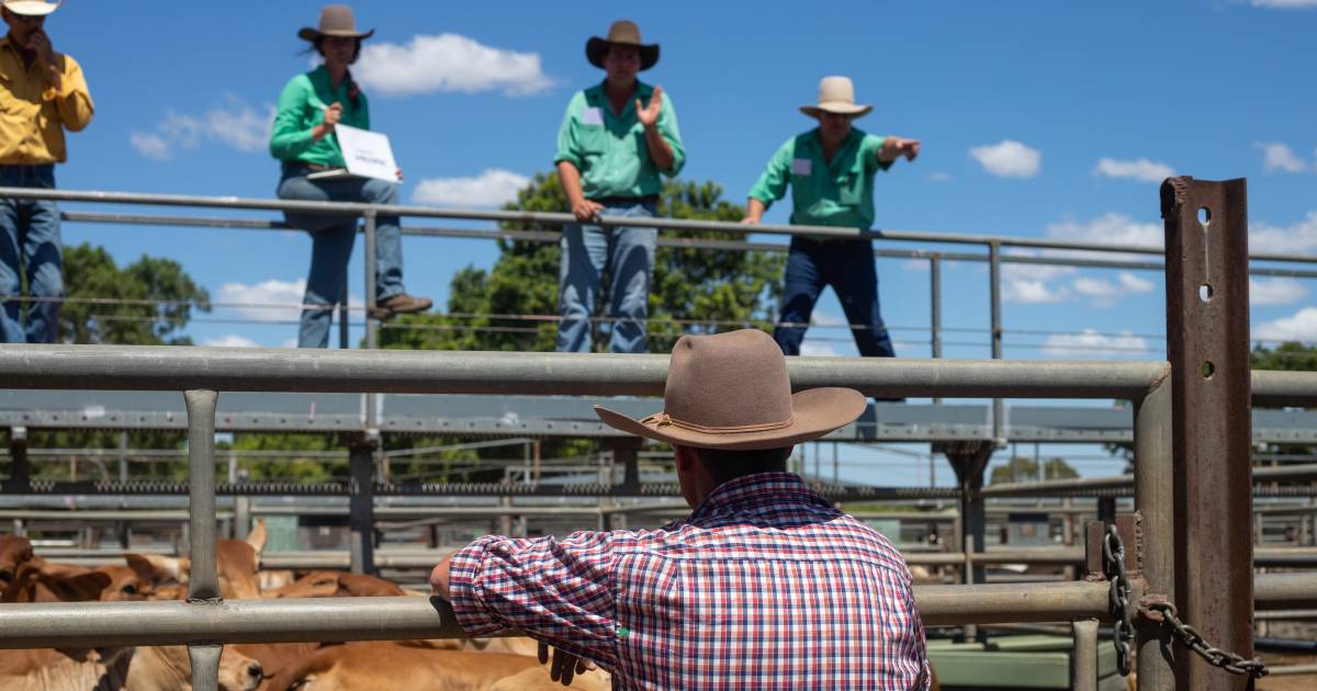 'Perfect storm' helps Charters Towers become selling powerhouse