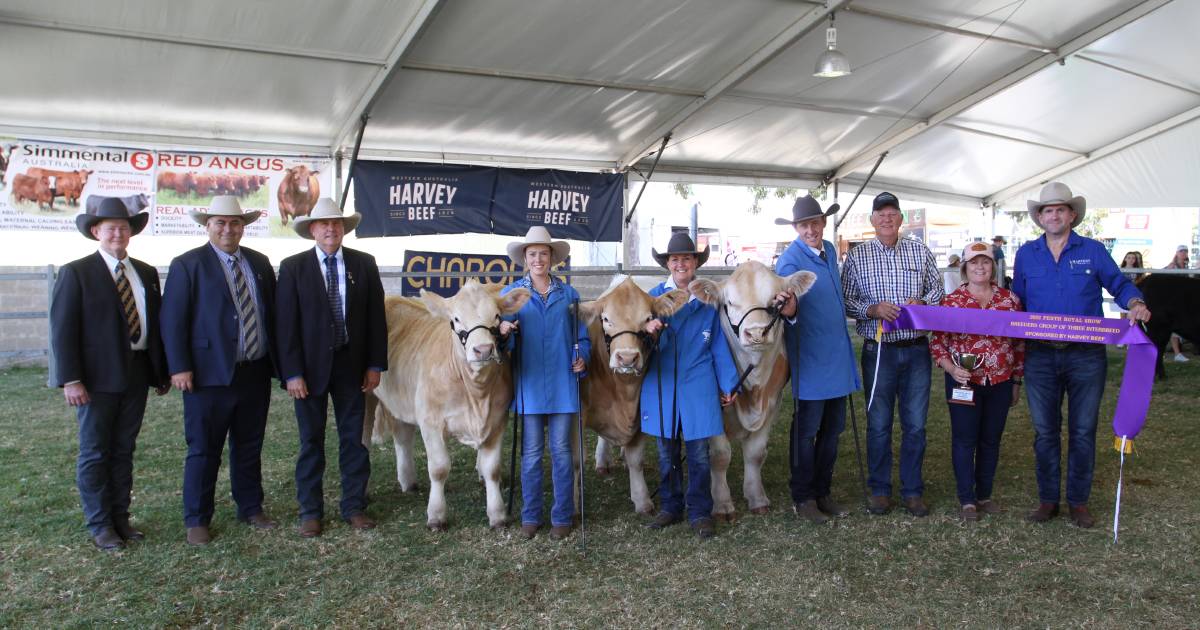 Venturon Livestock, Thompson family, wins interbreed groups at Perth Royal Show | Farm Weekly