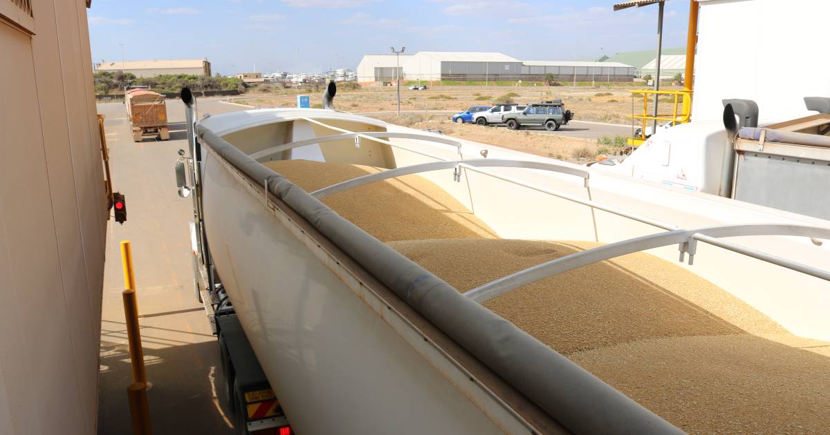 Harvest yet to fully ramp up across WA