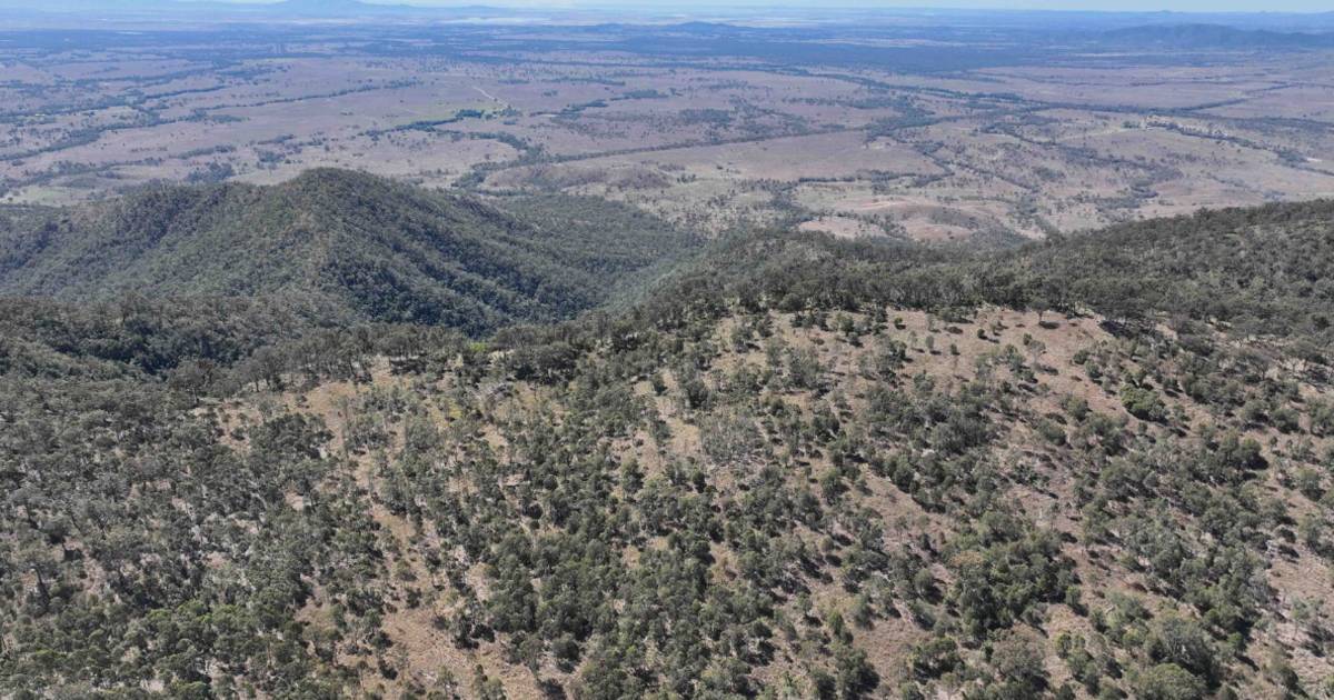 Central Queensland grazing with wind farm opportunity