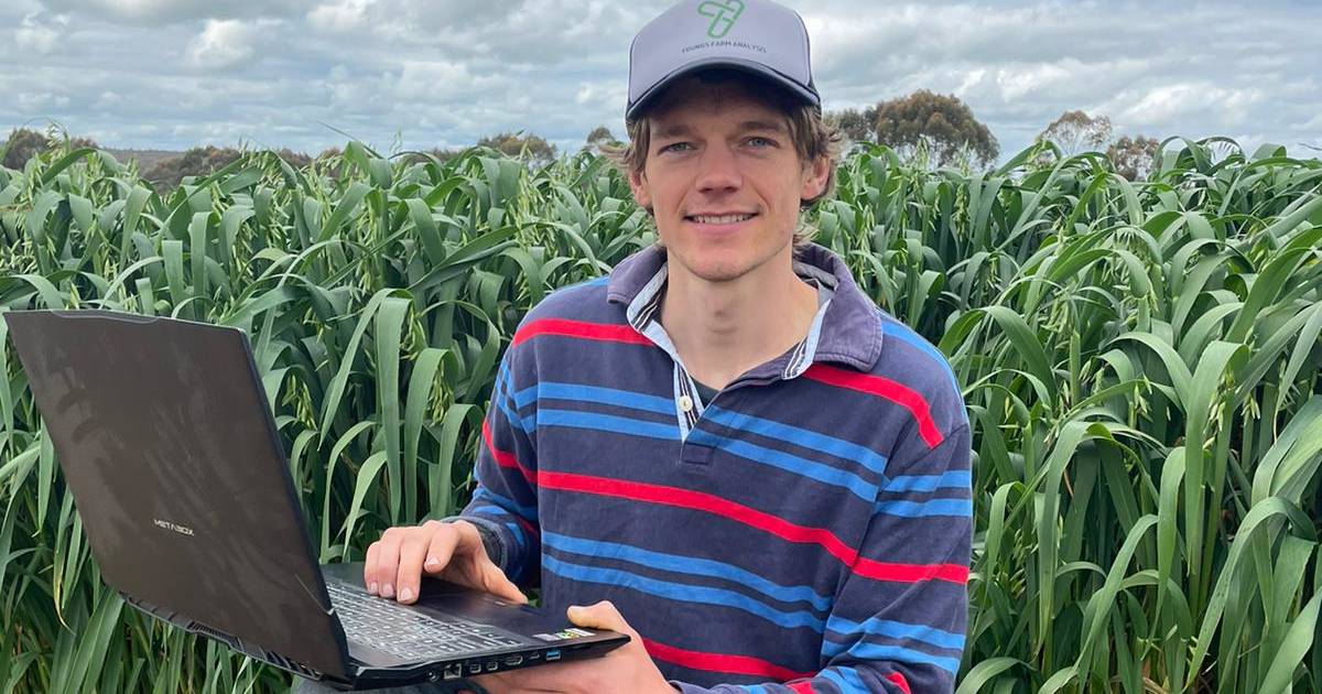 Model to answer age-old farming riddle