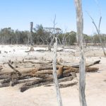 CSG ‘irreversibly’ damaging Qld farms, scientists say | Queensland Country Life