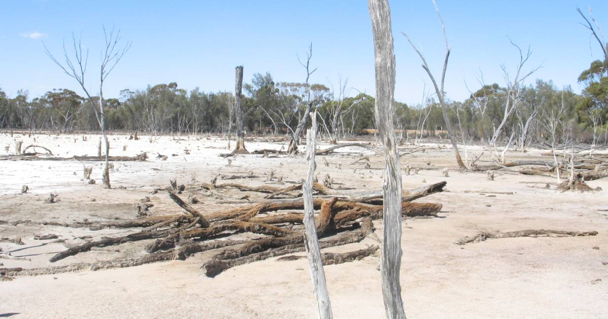 Salinity under-reported across South West agricultural region | Farm Weekly