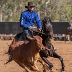 $3900 for Suffolk sire at Kojonup Triple S ram sale | Farm Weekly