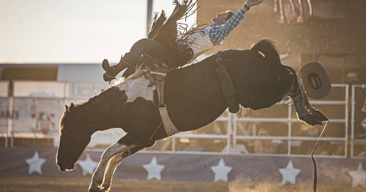 The Ariat APRA National Finals Rodeo Top 15 results are in