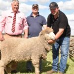 Microwave beef and lamb fat measurement tool being road-tested